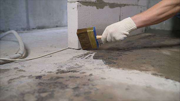 Top rated local Emergency Waterproofing specialists in Paden City, WV